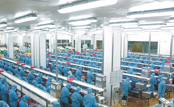Processing Line - Guolian Aquatic Products