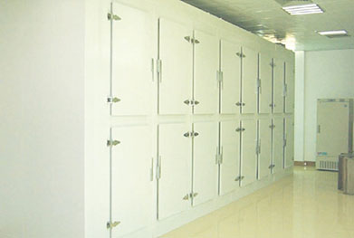 Cold Storage Rooms Partition: Walk-in Cooler/Walk-in Freezer/Blast Freezer