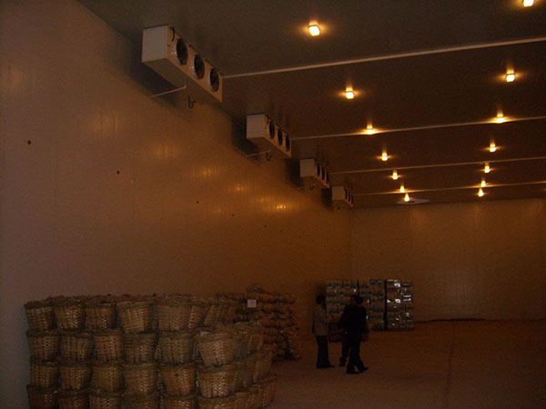 Potato Cold Storage Warehouse - Professional cold room manufacturer,designer and supplier in China. High quality at affordable price. Pioneer Factory in China among commercial & industrial refrigeration equipment manufactuers & suppliers.
