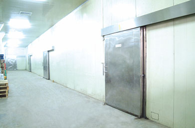 Refrigerated Warehouse Manufacturer in China - Pharmaceautical Cold Storage Warehouse