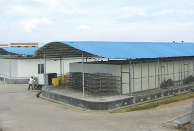 Refrigerated Warehouse Manufacturer in China - Meat Cold Storage Warehouse