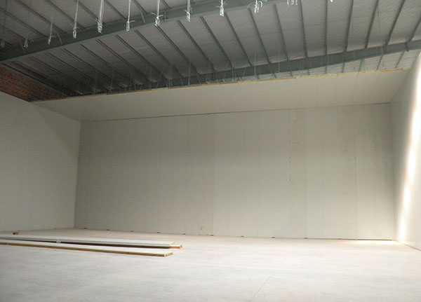 Walk-in Refrigerated Warehouse Project Case Ceiling Suspension