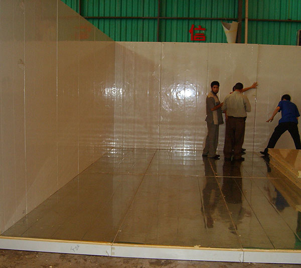 Cold Storage Slabs: Zinc-Coated Prefabricated Insulated Cold Room Sandwich Panel